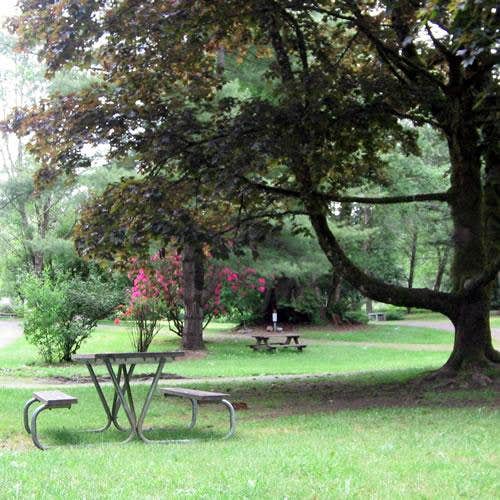 Camper-submitted photo at Friday Creek Campground near Coupeville, WA