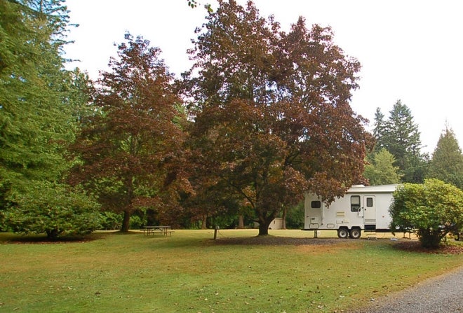 Camper submitted image from Friday Creek Campground - 4
