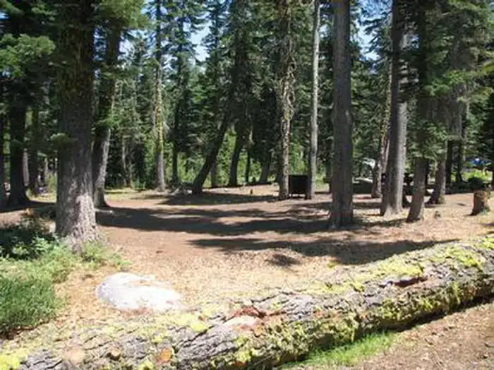 Camper-submitted photo at Loon Lake near Washoe Valley, NV