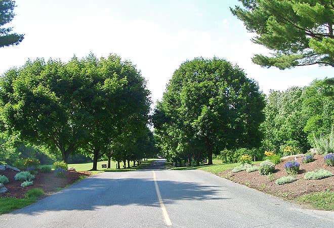 Camper-submitted photo at Thousand Trails Circle M near Stewartstown, PA