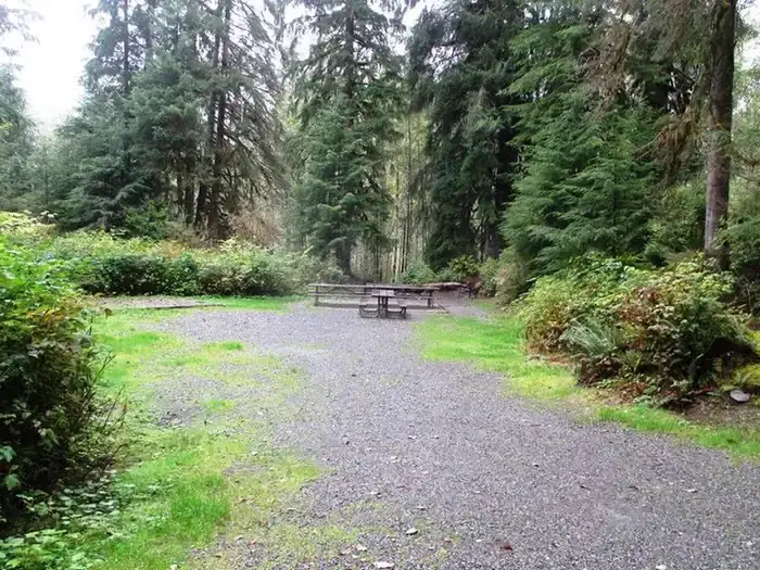 Camper-submitted photo at Esswine Group Camp near Mt. Baker-Snoqualmie National Forest