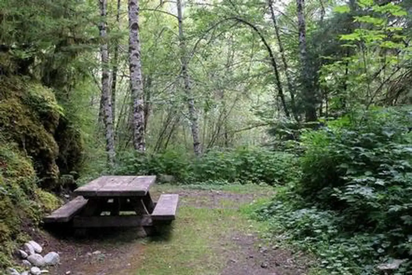Camper-submitted photo at Esswine Group Camp near Mt. Baker-Snoqualmie National Forest