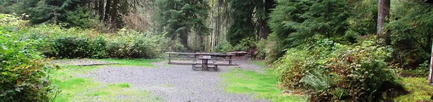 Camper-submitted photo at Esswine Group Camp near Mt. Baker-Snoqualmie National Forest