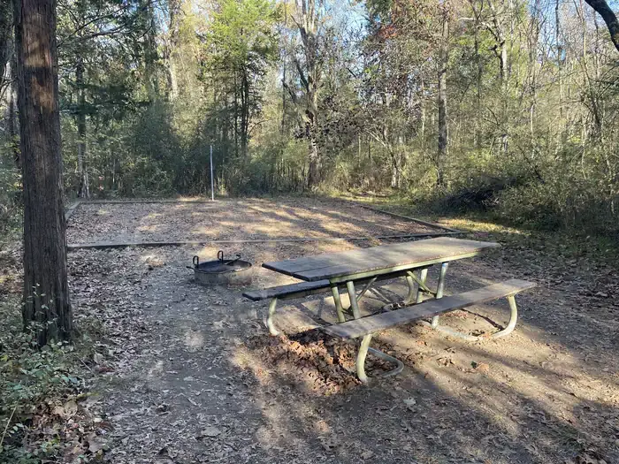 Camper-submitted photo at Chickamauga Battlefield Group Campground — Chickamauga & Chattanooga National Military Park near Signal Mountain, TN
