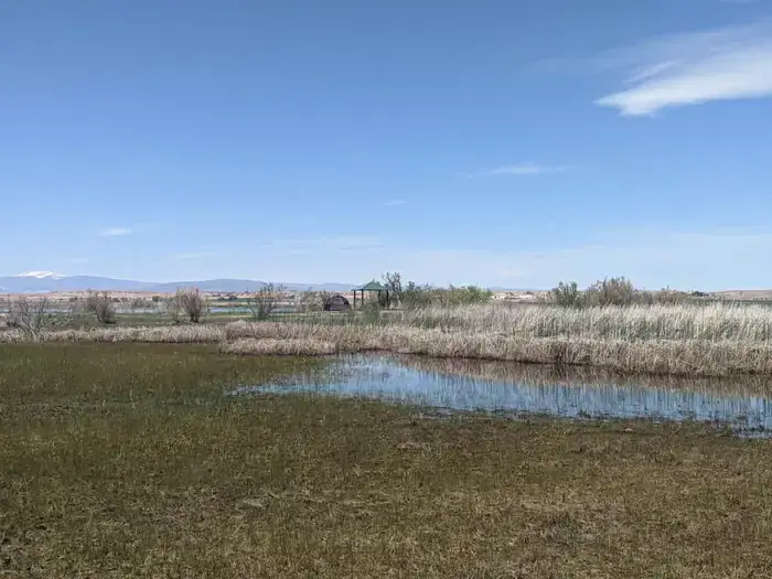 Camper-submitted photo at BLM Pelican Lake near Roosevelt, UT