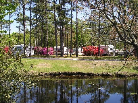 Camper submitted image from Whispering Pines Campground - 2