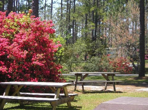 Camper submitted image from Whispering Pines Campground - 3