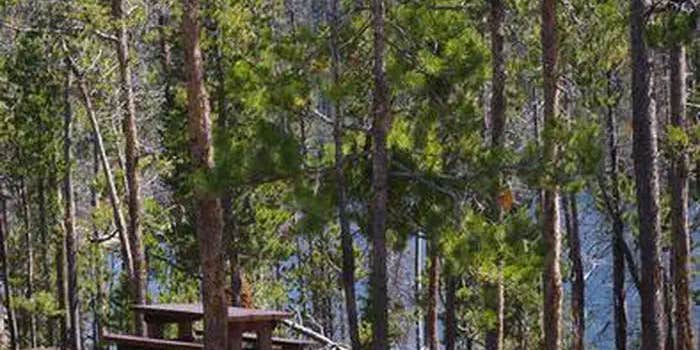 Camper submitted image from Stanley Lake Campground