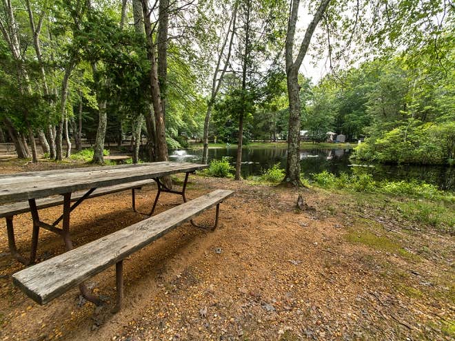 Camper-submitted photo at Mays Landing Resort near Townsend, DE