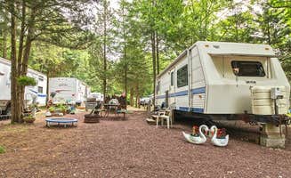 The Dyrt's photo of rv camping at Mays Landing Resort near Dover, DE
