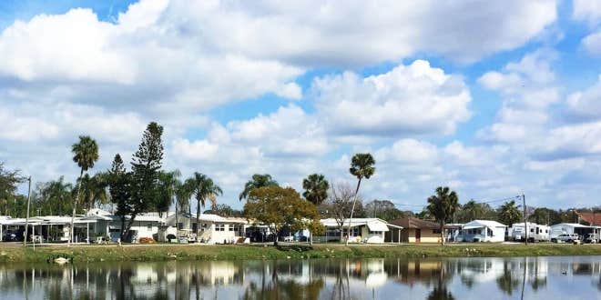 Camper submitted image from Encore Holiday Travel Park