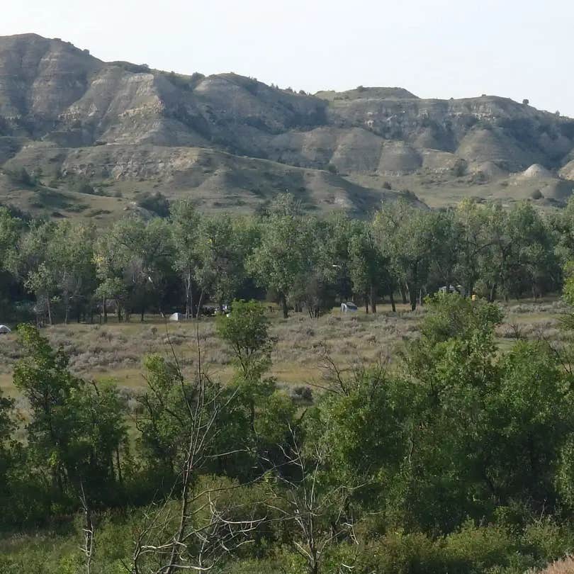 Cottonwood Campground — Theodore Roosevelt National Park