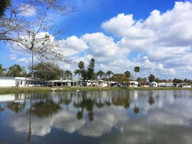 Camper-submitted photo at Encore Holiday Travel Park near Holiday, FL