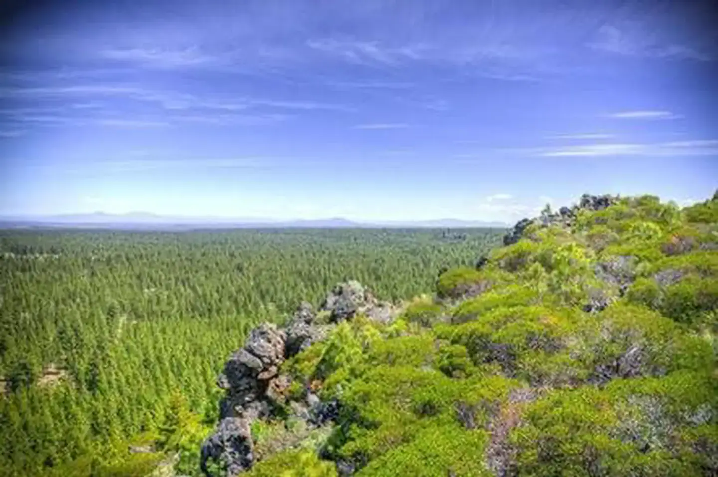 Camper-submitted photo at Three Creeks Meadow Horse Camp near Redmond, OR