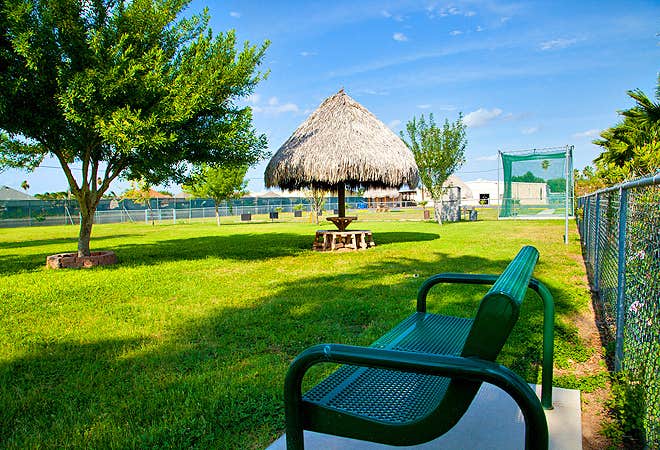 Camper submitted image from Encore Alamo Palms - 5