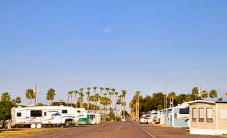 The Dyrt's photo of rv camping at Encore Alamo Palms near Mission, TX