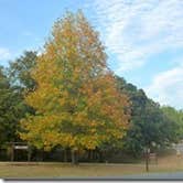 Review photo of Snake Creek by Bran P., September 26, 2016