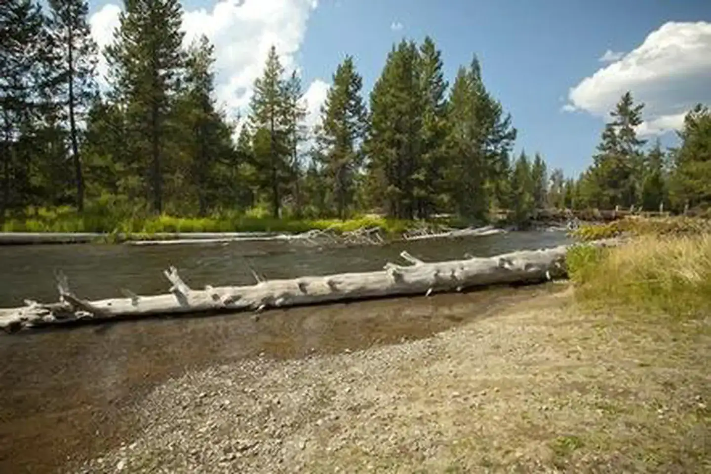 Camping near Cultus Lake Boat In Big Cove Campground — Deschutes National Forest: Cow Meadow Campground, La Pine, Oregon