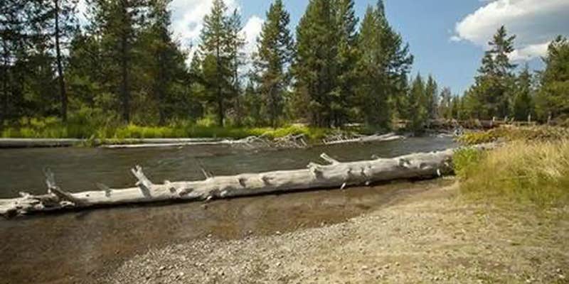 Camper submitted image from Cow Meadow Campground