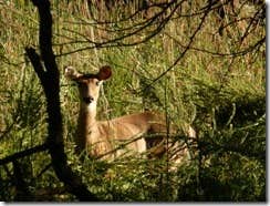 Camper-submitted photo at Linn County Park near Ottawa, KS