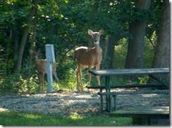 Camper-submitted photo at Linn County Park near Ottawa, KS