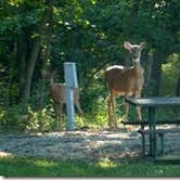 Review photo of Linn County Park by Bran P., September 26, 2016
