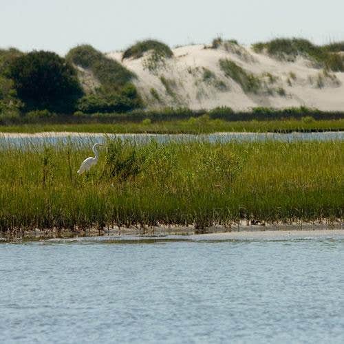 Camper submitted image from Waterway RV Park - 3