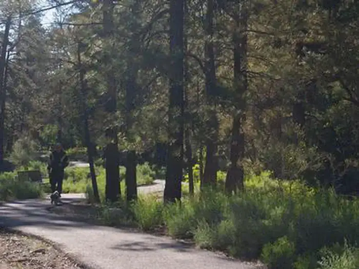 Camper-submitted photo at Fletcher View near Indian Springs, NV