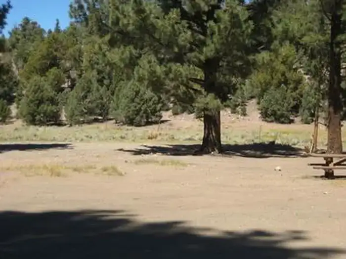 Camping near Camp Durrwood: Juniper Springs Group Campground, Big Bear City, California