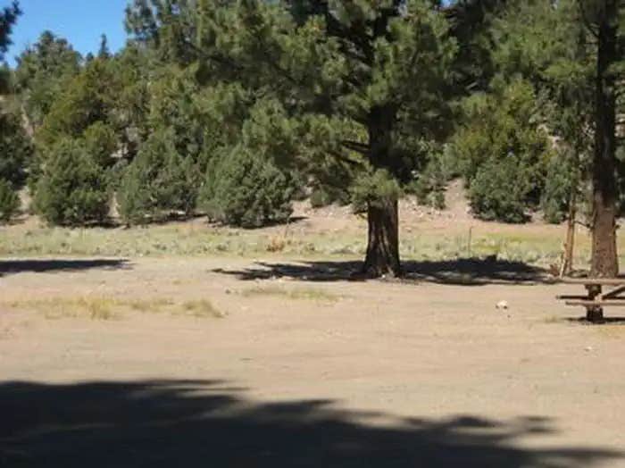 Camper submitted image from Juniper Springs Group Campground - 1