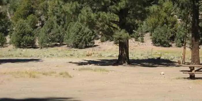 Camper submitted image from Juniper Springs Group Campground