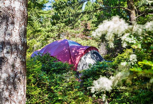 The Dyrt's photo at Thousand Trails Pacific City near Beaver, OR