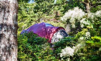 The Dyrt's photo at Thousand Trails Pacific City near Otis, OR