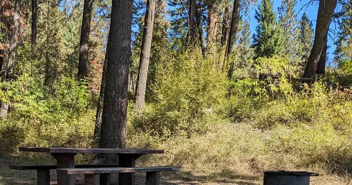 idaho-cabin-creek- idaho-cabin-creek-