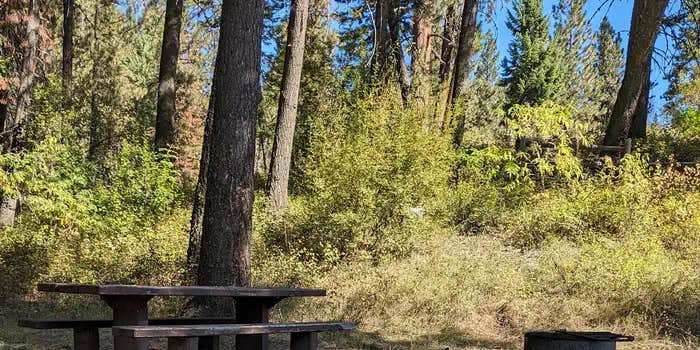 Camper submitted image from Cabin Creek