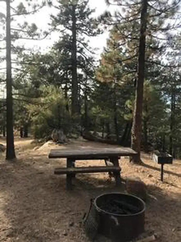 Camper-submitted photo at Pine Mountain Campground near Summerland, CA