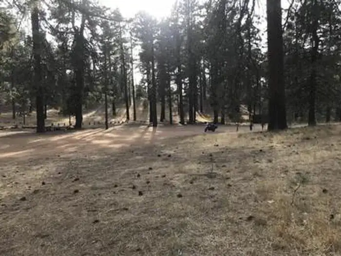 Camper-submitted photo at Pine Mountain Campground near Summerland, CA