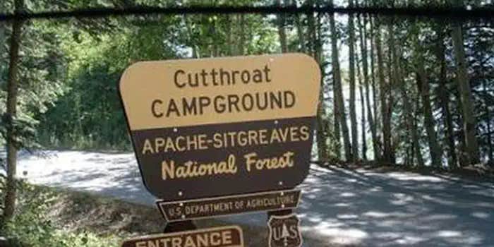 Camper submitted image from Cutthroat