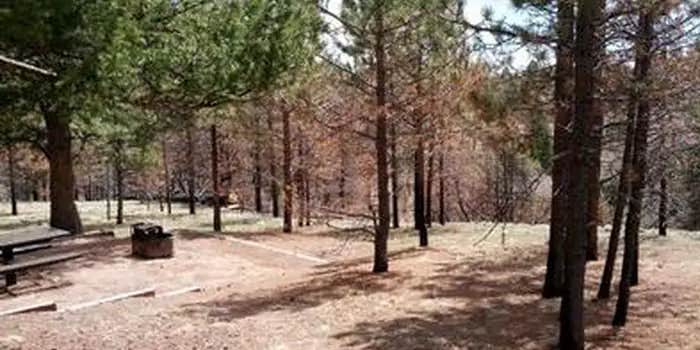 Camper submitted image from Thunder Ridge