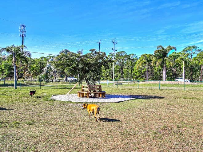 Camper-submitted photo at Fort Myers / Pine Island KOA Holiday near Bokeelia, FL