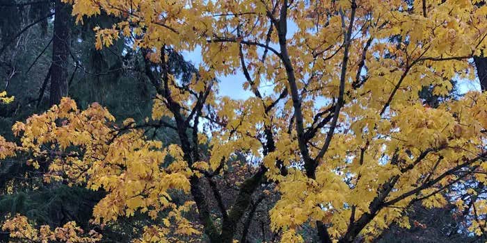 Camper submitted image from East Fork Campground