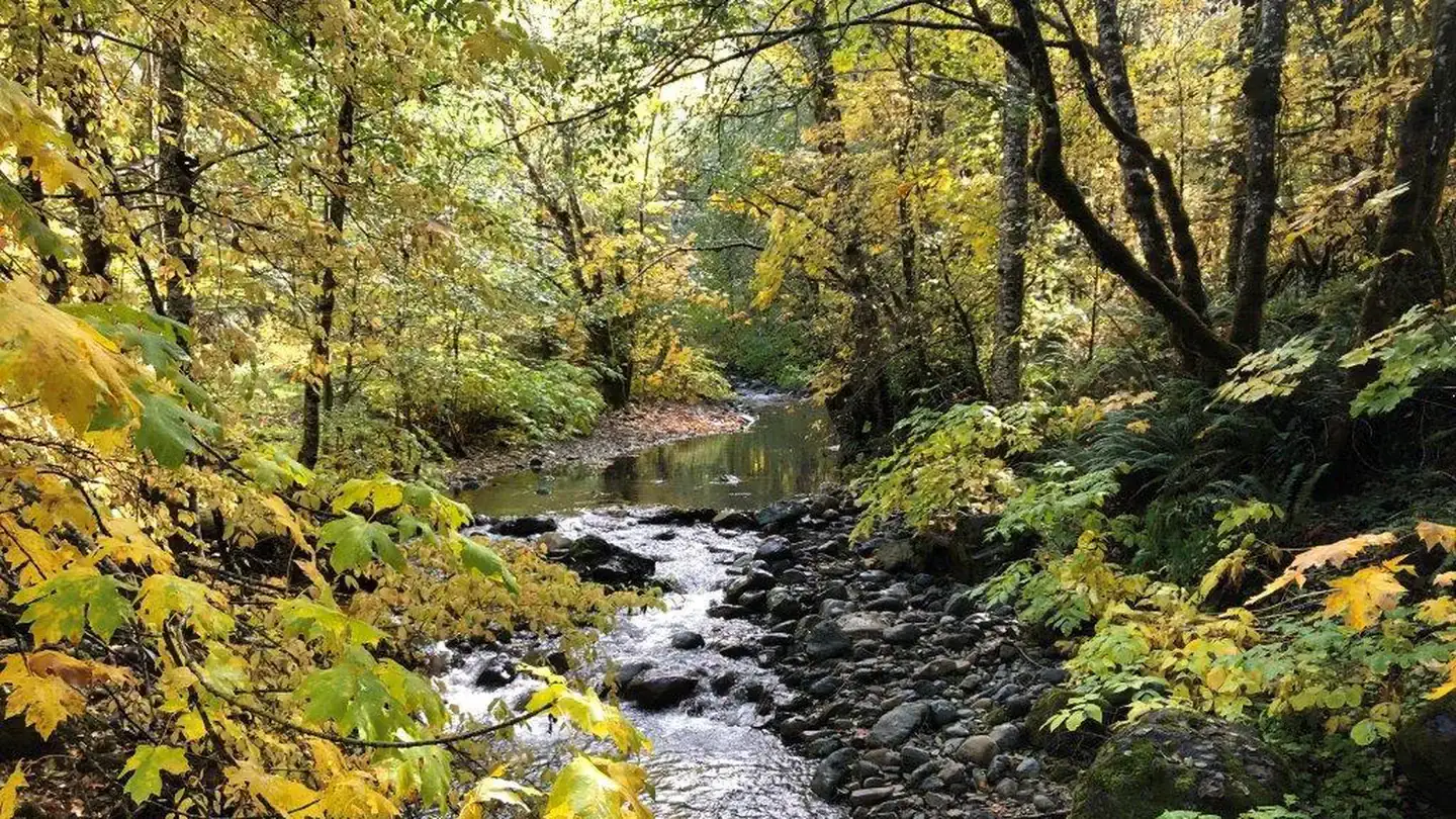 Camper-submitted photo at East Fork Campground near Hoopa, CA