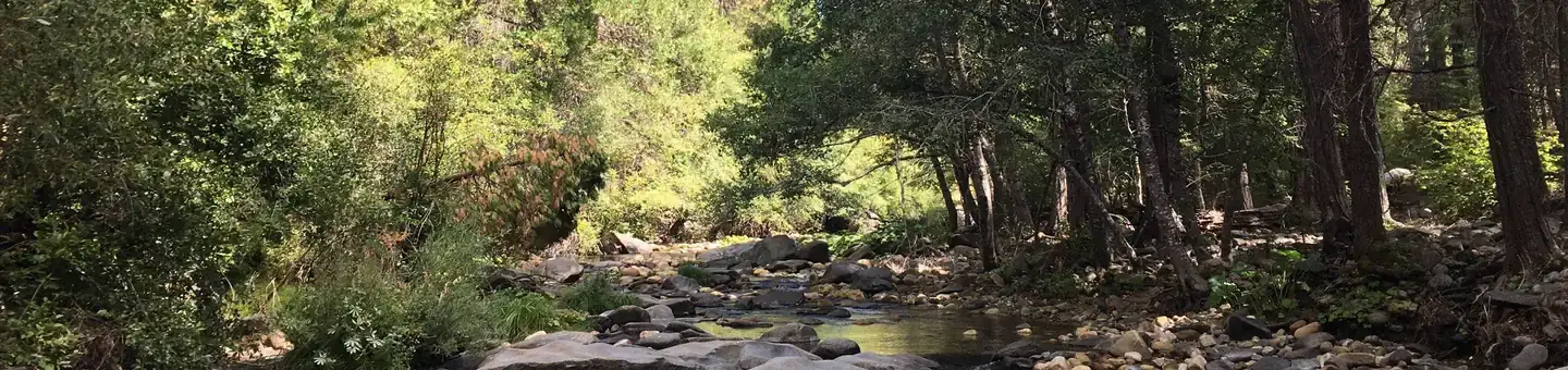 Camper-submitted photo at Pipi Campground near West Point, CA