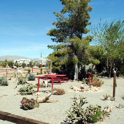 Camper submitted image from Salome KOA Journey - 5