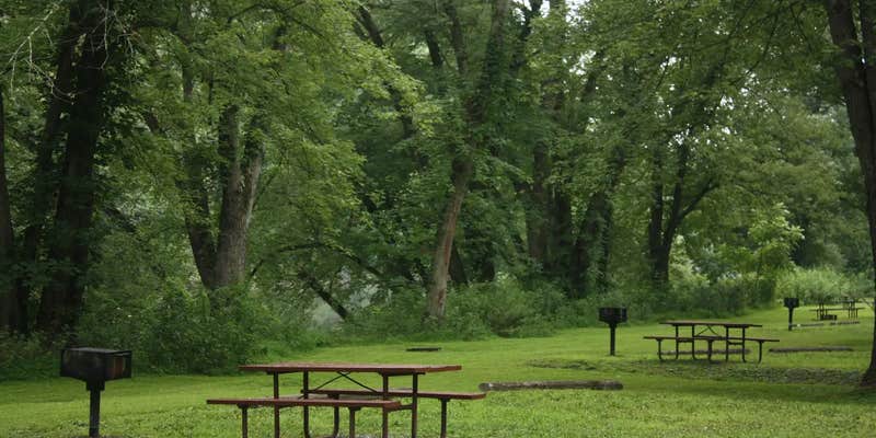 Camper submitted image from Spring Gap Campground — Chesapeake and Ohio Canal National Historical Park