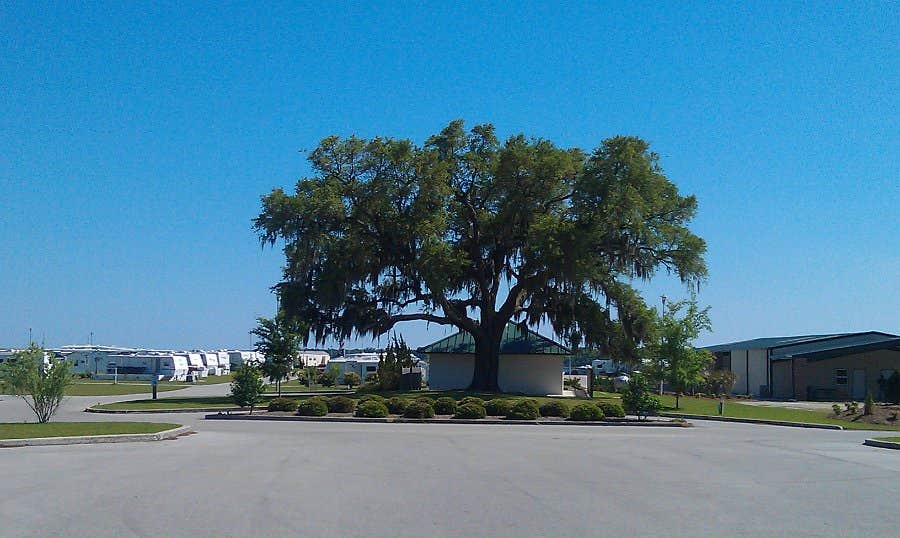 Camper submitted image from White Oak Shores - 4