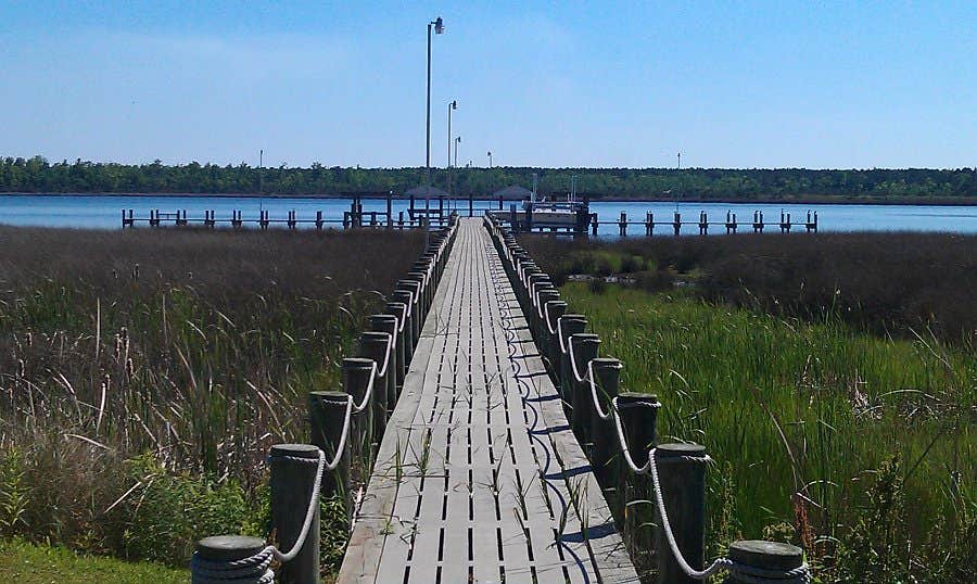 Camper submitted image from White Oak Shores - 5