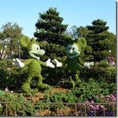 Review photo of Disney’s Fort Wilderness Resort & Campground by Bran P., September 26, 2016