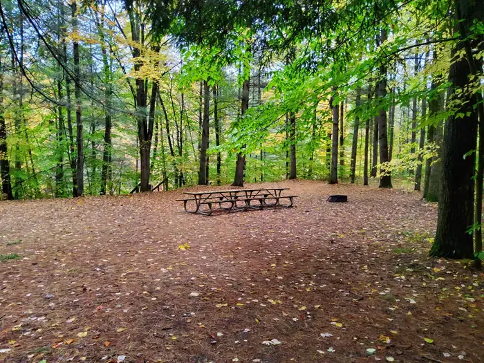 Camper-submitted photo at Seaton Creek Campground near Mesick, MI