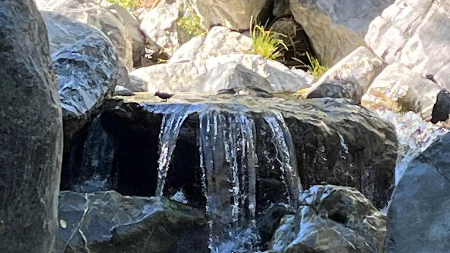 Camper submitted image from Boise Creek - 1